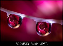 Click image for larger version. 

Name:	water drop 1 aug 20 2021.jpg 
Views:	217 
Size:	33.6 KB 
ID:	130470