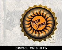 Click image for larger version. 

Name:	Bottle Cap Challenge - Tiger Stripe - 2009 HayTay.jpg 
Views:	800 
Size:	55.7 KB 
ID:	66286