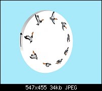 Click image for larger version. 

Name:	Zoetrope_birds.jpg 
Views:	462 
Size:	34.3 KB 
ID:	7910