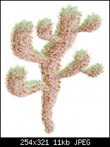 Click image for larger version. 

Name:	cactus2.jpg 
Views:	1022 
Size:	10.7 KB 
ID:	14078