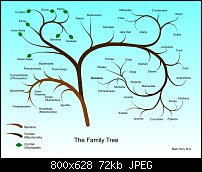 Click image for larger version. 

Name:	FamilyTree.jpg 
Views:	174 
Size:	72.1 KB 
ID:	102451