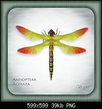 Click image for larger version. 

Name:	igor vojtela dragonfly.jpg 
Views:	164 
Size:	38.6 KB 
ID:	102628