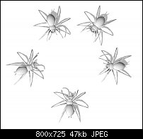 Click image for larger version. 

Name:	spiders-3d.jpg 
Views:	119 
Size:	46.6 KB 
ID:	103149