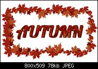 Click image for larger version. 

Name:	autumn-maple-leaf.jpg 
Views:	212 
Size:	77.6 KB 
ID:	104209