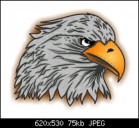 Click image for larger version. 

Name:	eagles-head.jpg 
Views:	234 
Size:	75.1 KB 
ID:	104280