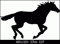 Click image for larger version. 

Name:	Horse 2.gif 
Views:	242 
Size:	37.0 KB 
ID:	104732