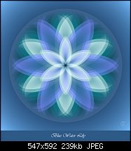 Click image for larger version. 

Name:	Blue Water Lily.jpg 
Views:	288 
Size:	239.2 KB 
ID:	105105