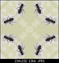 Click image for larger version. 

Name:	ants_tile_mayas_sm.jpg 
Views:	145 
Size:	13.0 KB 
ID:	105535