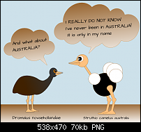 Click image for larger version. 

Name:	emu.png 
Views:	489 
Size:	69.6 KB 
ID:	106985