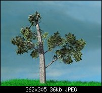 Click image for larger version. 

Name:	tree.jpg 
Views:	159 
Size:	35.9 KB 
ID:	113489