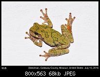 Click image for larger version. 

Name:	frog6.jpg 
Views:	308 
Size:	68.0 KB 
ID:	113705