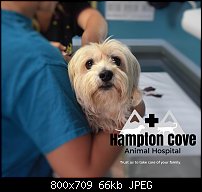 Click image for larger version. 

Name:	Hampton Cove Mockup.jpg 
Views:	75 
Size:	66.1 KB 
ID:	118107