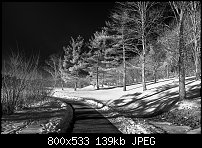 Click image for larger version. 

Name:	deer lakes park black and white.jpg 
Views:	257 
Size:	138.7 KB 
ID:	119889