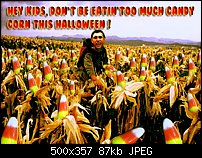 Click image for larger version. 

Name:	candycornfield.jpg 
Views:	229 
Size:	86.9 KB 
ID:	12005