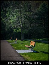 Click image for larger version. 

Name:	deer lakes park 2  may 7.jpg 
Views:	397 
Size:	135.3 KB 
ID:	121090