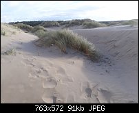 Click image for larger version. 

Name:	formby dunes.jpg 
Views:	269 
Size:	90.9 KB 
ID:	121225