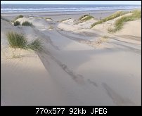 Click image for larger version. 

Name:	dunes again.jpg 
Views:	269 
Size:	92.1 KB 
ID:	121229