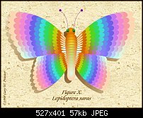 Click image for larger version. 

Name:	butterfly.jpg 
Views:	119 
Size:	57.5 KB 
ID:	121519