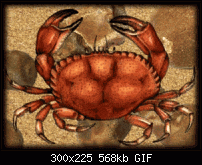 Click image for larger version. 

Name:	crab-opti.gif 
Views:	44 
Size:	567.8 KB 
ID:	121761