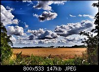Click image for larger version. 

Name:	wheat-field.jpg 
Views:	321 
Size:	146.7 KB 
ID:	125014