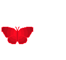 Name:  RedButterfly22.gif
Views: 277
Size:  12.9 KB