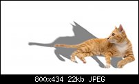 Click image for larger version. 

Name:	cat3.jpg 
Views:	121 
Size:	22.1 KB 
ID:	125578