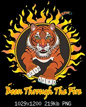 Click image for larger version. 

Name:	FIRE TIGER FINISH DA PNG.jpg 
Views:	77 
Size:	218.8 KB 
ID:	131668