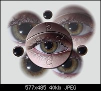 Click image for larger version. 

Name:	Eye_puzzle.jpg 
Views:	261 
Size:	39.7 KB 
ID:	13184