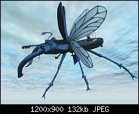 Click image for larger version. 

Name:	stag-beetle-flyer.jpg 
Views:	80 
Size:	132.2 KB 
ID:	132631