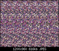 Click image for larger version. 

Name:	Rik's Stereogram II.jpg 
Views:	97 
Size:	616.3 KB 
ID:	133613