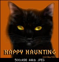 Click image for larger version. 

Name:	blkcat_haunting.jpg 
Views:	686 
Size:	44.4 KB 
ID:	14038