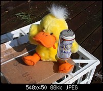 Click image for larger version. 

Name:	Duck_Beer.jpg 
Views:	270 
Size:	87.7 KB 
ID:	1698