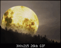 Click image for larger version. 

Name:	moon.gif 
Views:	218 
Size:	25.9 KB 
ID:	17531
