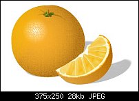 Click image for larger version. 

Name:	orange2.jpg 
Views:	498 
Size:	28.2 KB 
ID:	18389