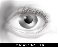 Click image for larger version. 

Name:	eye-detail.jpg 
Views:	18618 
Size:	13.3 KB 
ID:	20255