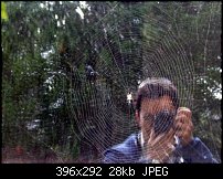 Click image for larger version. 

Name:	Spider Photographer-1-resized.jpg 
Views:	237 
Size:	28.0 KB 
ID:	21224