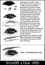 Click image for larger version. 

Name:	Eye Tutorial.jpg 
Views:	278 
Size:	171.4 KB 
ID:	23137