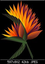 Click image for larger version. 

Name:	bird of paradise.jpg 
Views:	217 
Size:	42.3 KB 
ID:	23498
