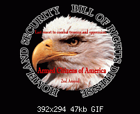 Click image for larger version. 

Name:	Eagle.gif 
Views:	207 
Size:	46.9 KB 
ID:	33762