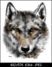 Click image for larger version. 

Name:	dkwolf1.jpg 
Views:	282 
Size:	62.7 KB 
ID:	3579