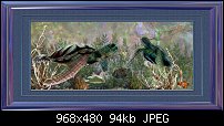 Click image for larger version. 

Name:	Two Turtles.jpg 
Views:	438 
Size:	93.9 KB 
ID:	39771