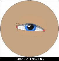 Click image for larger version. 

Name:	eye-so-far2.png 
Views:	708 
Size:	16.7 KB 
ID:	44051