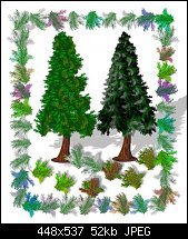Click image for larger version. 

Name:	Austrian_Christmastrees.jpg 
Views:	354 
Size:	51.9 KB 
ID:	4422