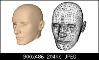 Click image for larger version. 

Name:	Human Head from SU (white fill).jpg 
Views:	216 
Size:	204.2 KB 
ID:	45919