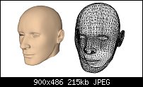 Click image for larger version. 

Name:	Human Head from SU (no white fill).jpg 
Views:	216 
Size:	215.0 KB 
ID:	45920