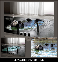 Click image for larger version. 

Name:	Otter Hot Tub_02.png 
Views:	244 
Size:	265.6 KB 
ID:	49858