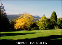 Click image for larger version. 

Name:	autumn_otago_gardens2.JPG 
Views:	248 
Size:	62.4 KB 
ID:	5070