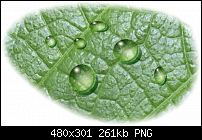 Click image for larger version. 

Name:	water drops.png 
Views:	503 
Size:	260.7 KB 
ID:	51224