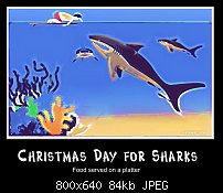 Click image for larger version. 

Name:	sharkchristmas.jpg 
Views:	385 
Size:	84.3 KB 
ID:	54161