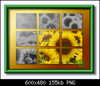 Click image for larger version. 

Name:	Photo Fun - Framed Sunflower Single Photo Collage.png 
Views:	261 
Size:	155.3 KB 
ID:	62549